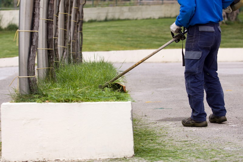 Property-Maintenance-Federal-Way-WA