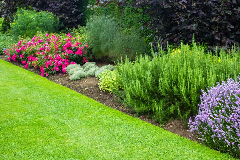 Landscaping-Services-Auburn-WA